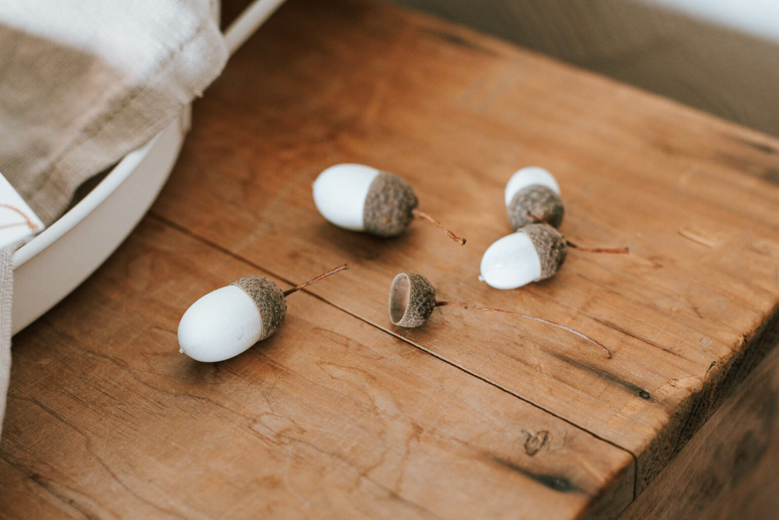 Nachhaltige Herbstdeko Diy Eicheln Bemalen Uponmylife