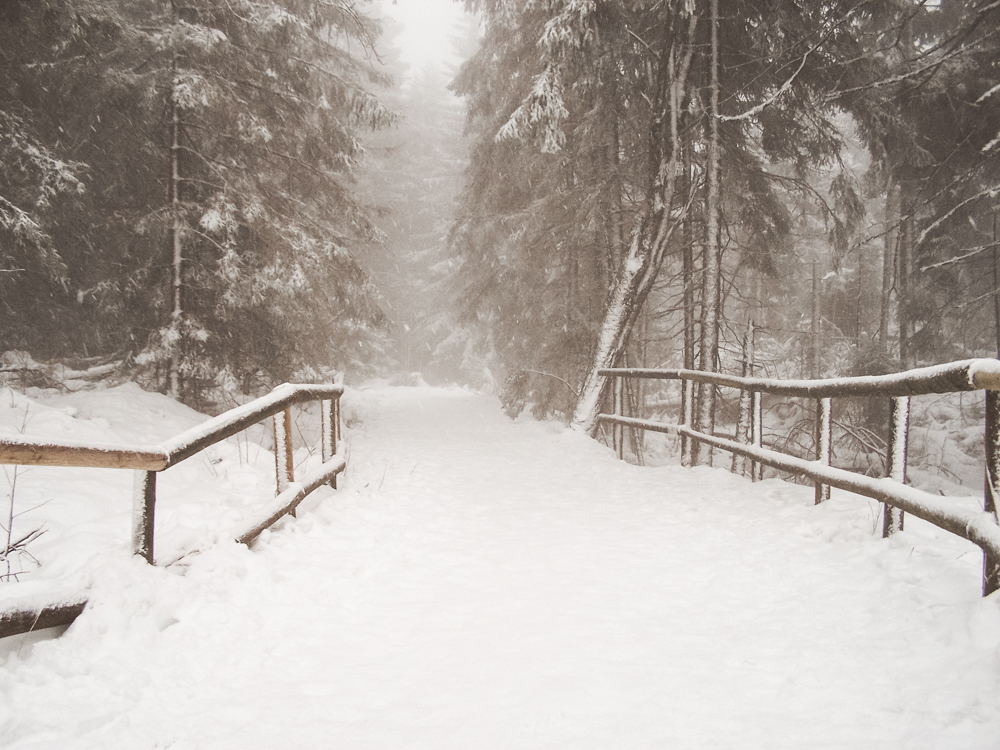 5 Alltagstipps gegen den materiellen Geschenkewahnsinn - Ich verschenke gerne! Aber lieber von Herzen als teure Gegenstände - meine Tipps gegen den Konsum. #natur #weihnachten #weihnachtsgeschenke