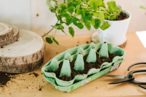 Anzuchttopf Eierkarton: So einfach DIY Upcycling Pflanztopf selber machen und Gemüsesamen einsäen. DIY Anzuchttöpfe für für Balkon und Garten