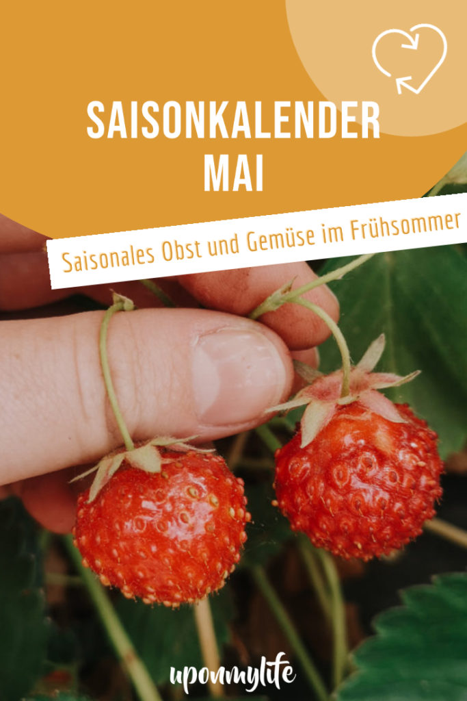 Saisonkalender Mai: Saisonales Obst und Gemüse im späten Frühlingsmonat Mai. Ernte von Rhabarber, Spargel, Frühlingszwiebeln, Erdbeeren ...