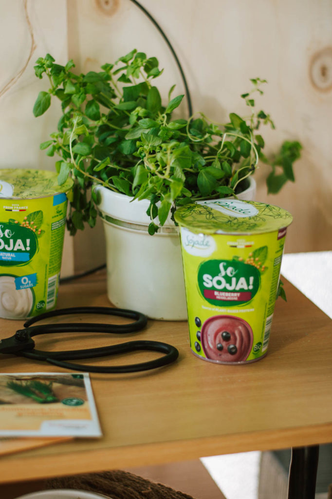 Upcycling DIY Kräutertopf aus Joghurtbecher einfach selber machen. Nachhaltige Upcycling Idee für Pflanzentopf für eure Kräuter in der Küche
