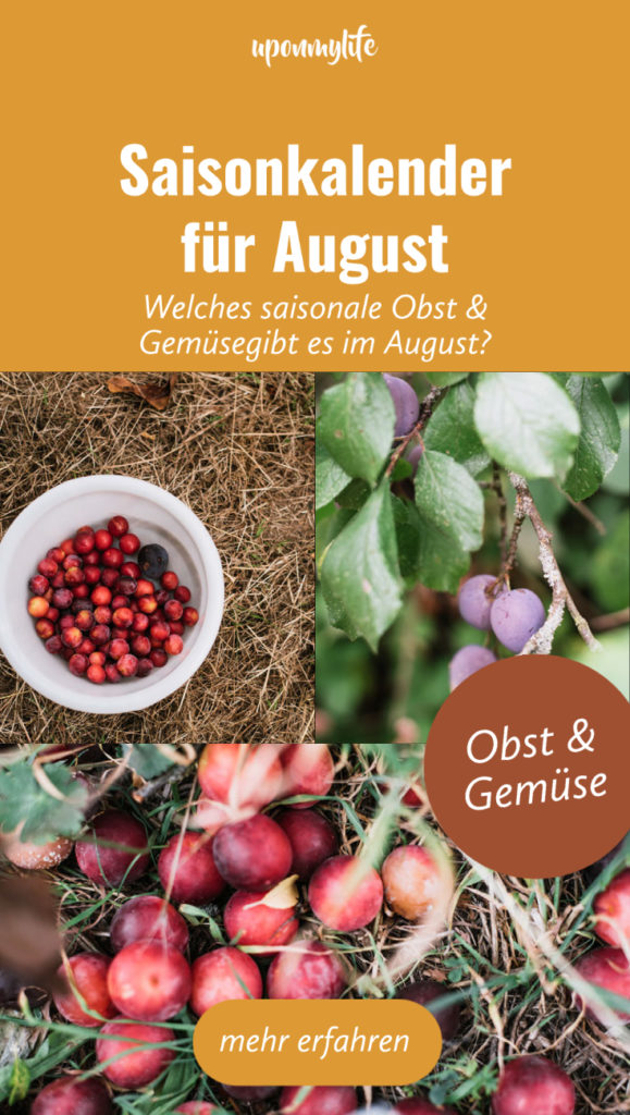 Saisonkalender August: Saisonales Obst und Gemüse im späten Sommermonat August. Ernte von Brombeeren, Kartoffeln, Stachelbeeren, Himbeeren ...