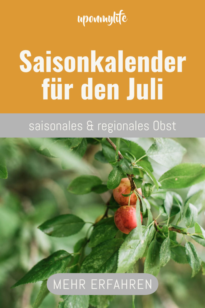Saisonkalender Juli: Saisonales Obst und Gemüse im heißen Sommermonat Juli. Ernte von Kirschen, Himbeeren, Stachelbeeren, Radieschen ...