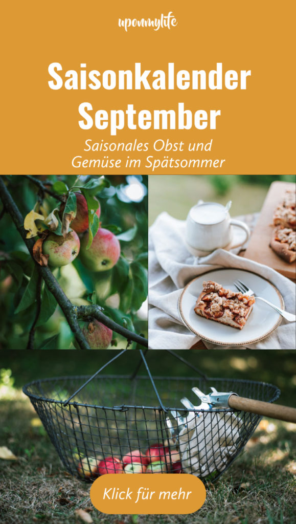 Saisonkalender September: Saisonales Obst und Gemüse im spätsommerlichen Monat September. Ernte von Zwetschgen, Kürbissen, Trauben, ...