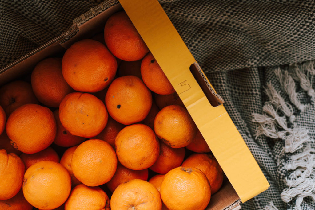 Das müsst ihr wissen: Über Fair Trade, Globale Lieferketten und reife grüne Orangen. So funktioniert Fairer Handel wirklich! Jetzt lesen