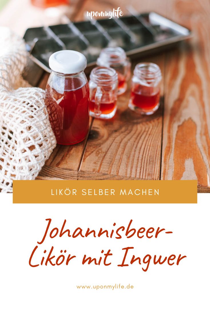 Anfänger-Rezept: Leckerer Johannisbeer-Likör mit Ingwer einfach selber machen. Likör aus Gin mit Beeren ansetzen. Leckeres Geschenk.