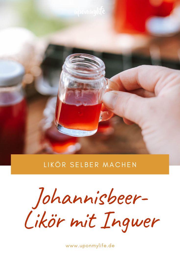 Anfänger-Rezept: Leckerer Johannisbeer-Likör mit Ingwer einfach selber machen. Likör aus Gin mit Beeren ansetzen. Leckeres Geschenk.