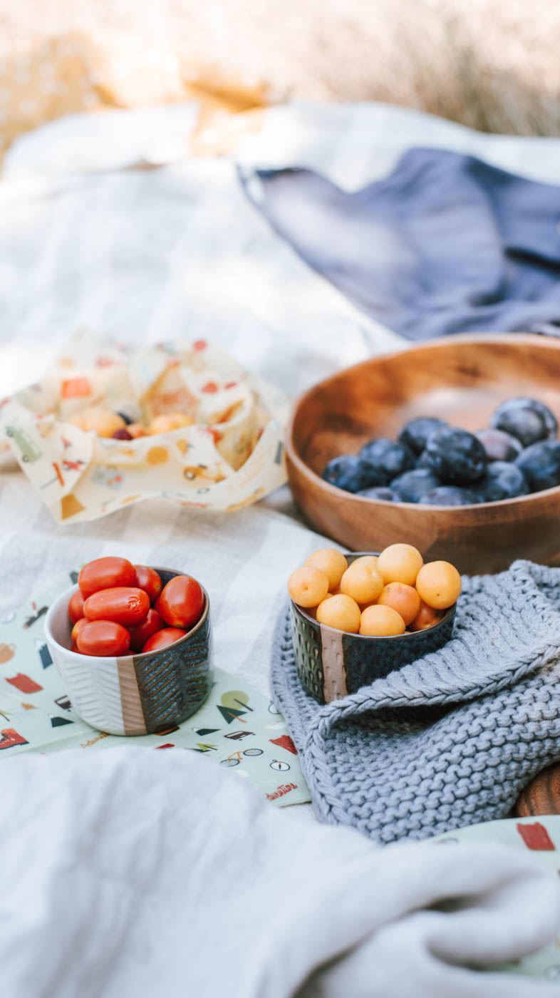 7 Zero Waste Picknick - Tipps! Damit gelingt euer nachhaltiges Picknick müllfrei und plastikfrei mit viel Spaß + einfache, vegane Rezept-Idee #zerowaste #picknick #vesper