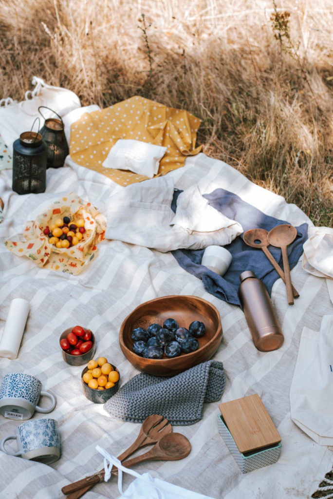 7 Zero Waste Picknick - Tipps! Damit gelingt euer nachhaltiges Picknick müllfrei und plastikfrei mit viel Spaß + einfache, vegane Rezept-Idee #zerowaste #picknick #vesper
