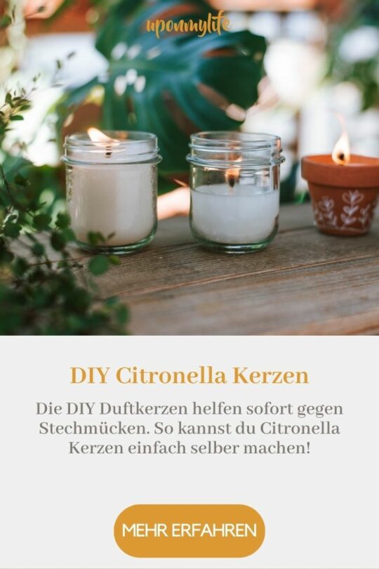 Citronella Kerzen Gegen Mücken Ganz Einfach Selber Machen 8493