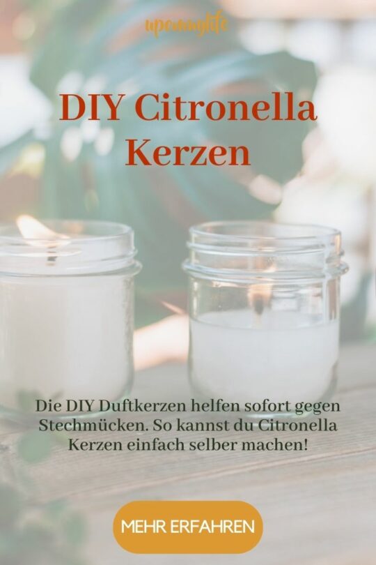 Citronella Kerzen Gegen Mücken Ganz Einfach Selber Machen 8607