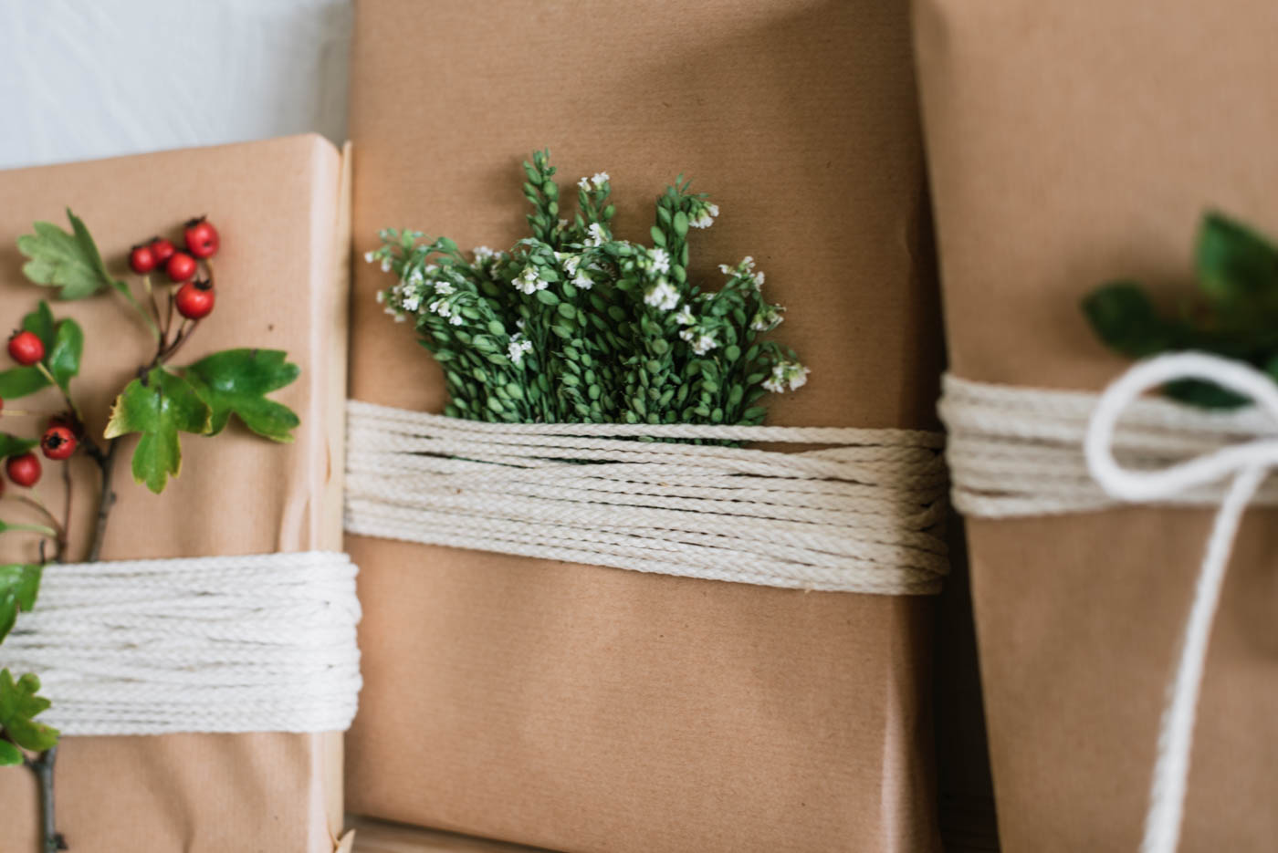DIY Geschenke herbstlich verpacken mit Hagebutten, Zweigen und Gräsern. Geburtstagskinder im Herbst überraschen. 3 schnelle DIY Ideen