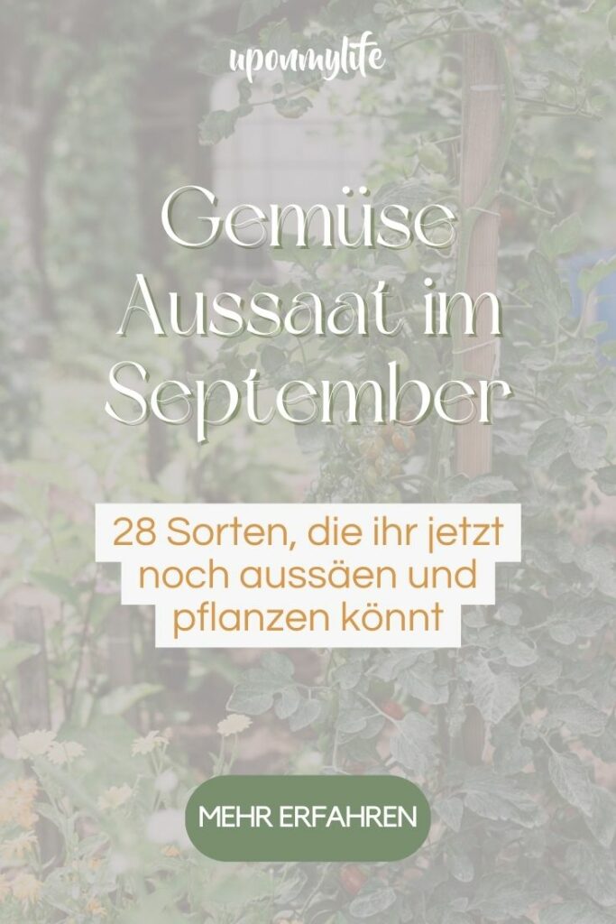 Gemüse Aussaat im September 28 Sorten, die ihr jetzt noch aussäen und