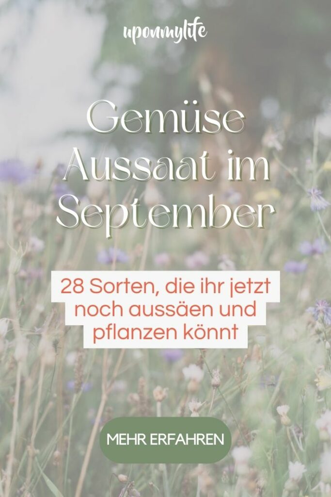 Gemüse Aussaat im September 28 Sorten, die ihr jetzt noch aussäen und