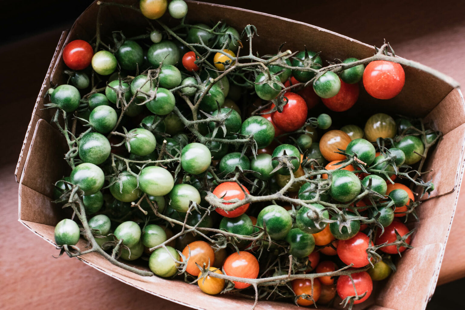 Grüne Tomaten nachreifen: Die 6 besten Tipps - Uponmylife