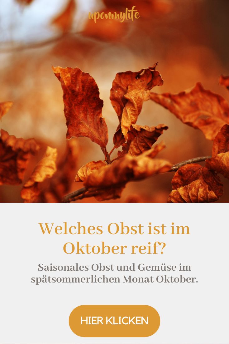 Saisonkalender Oktober: Saisonales Obst und Gemüse im Herbst