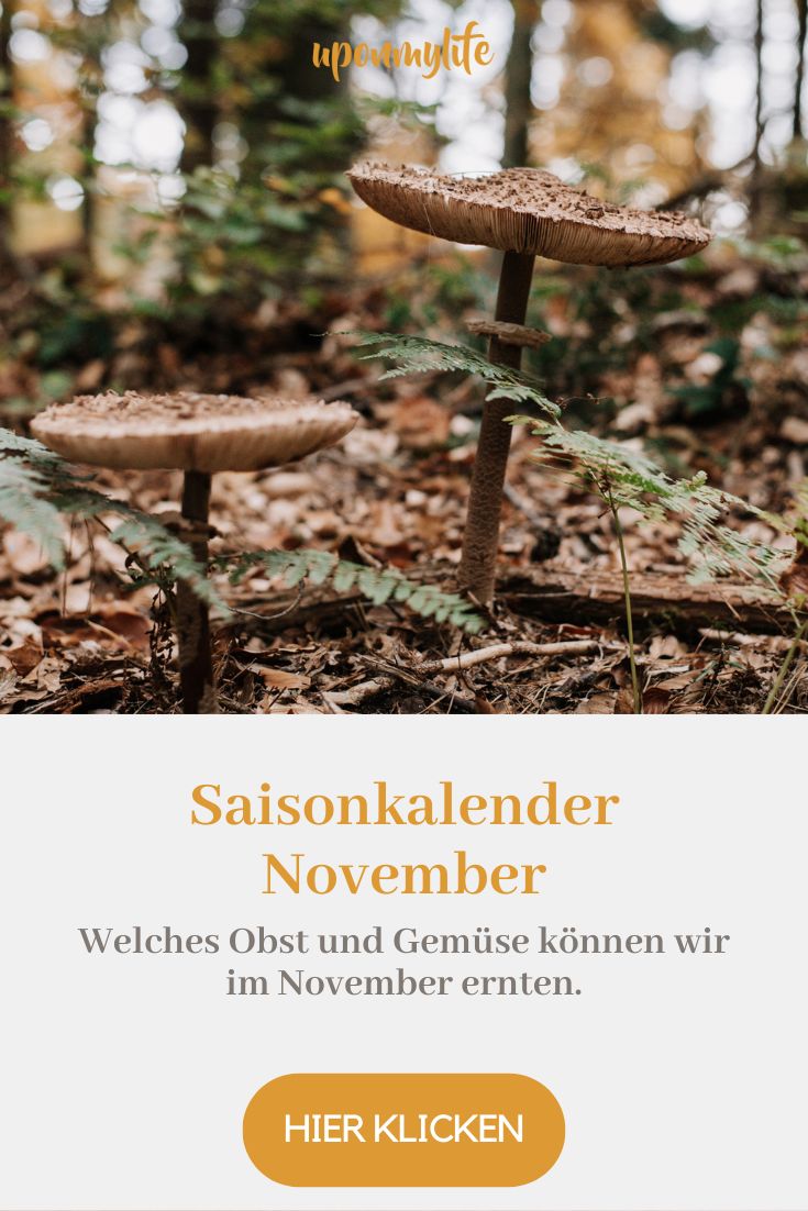 Saisonkalender November: Saisonales Obst und Gemüse im Herbst