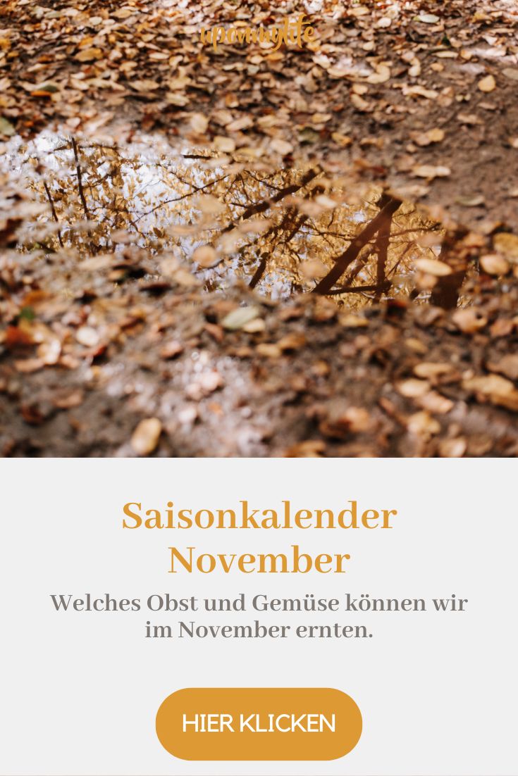 Saisonkalender November: Saisonales Obst und Gemüse im Herbst