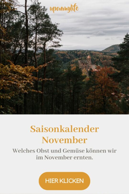 Saisonkalender November: Saisonales Obst und Gemüse im Herbst