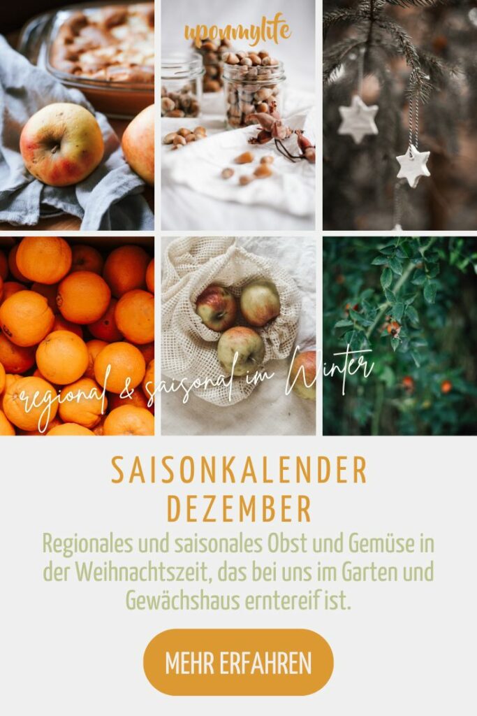 Saisonkalender Dezember: Regionales und saisonales Obst und Gemüse in der Weihnachtszeit, das bei uns im Garten und Gewächshaus erntereif ist