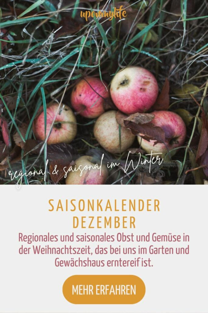 Saisonkalender Dezember: Regionales und saisonales Obst und Gemüse in der Weihnachtszeit, das bei uns im Garten und Gewächshaus erntereif ist
