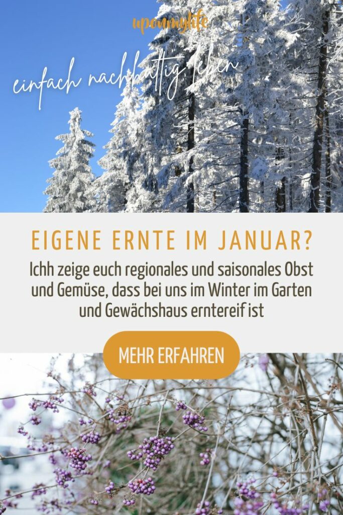 Saisonkalender Januar: Regionales und saisonales Obst und Gemüse im Winter, das bei uns im Garten und Gewächshaus erntereif ist