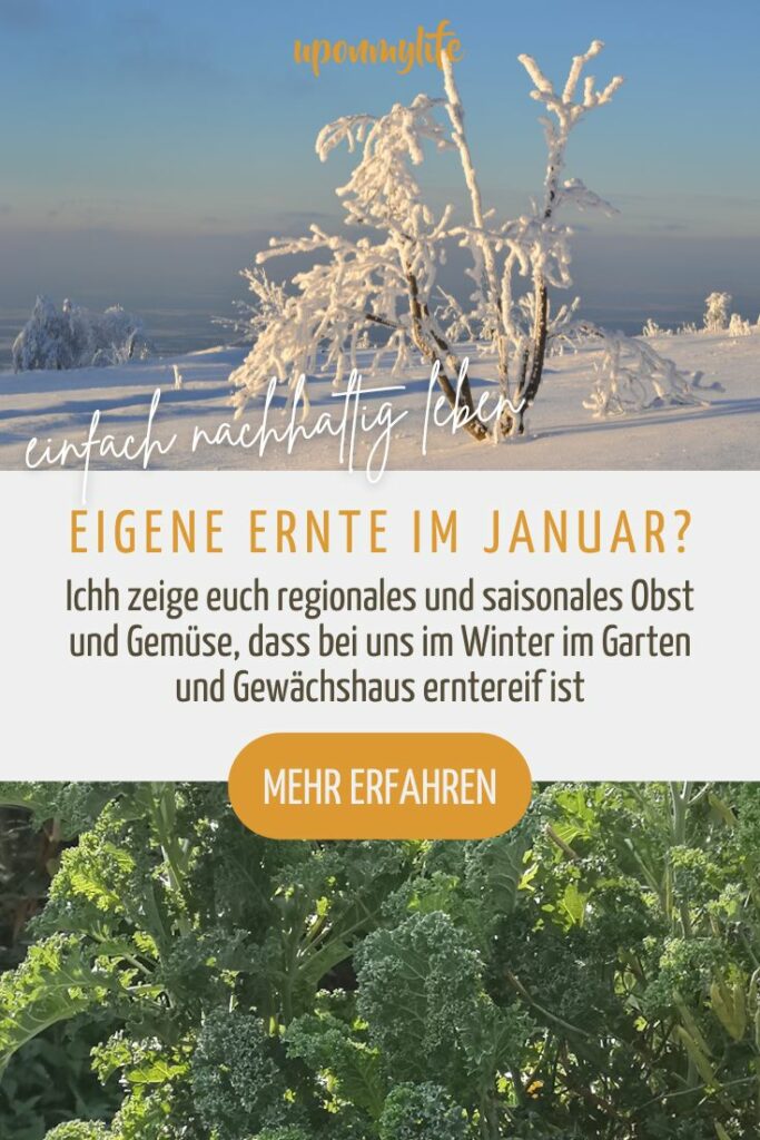 Saisonkalender Januar: Regionales und saisonales Obst und Gemüse im Winter, das bei uns im Garten und Gewächshaus erntereif ist