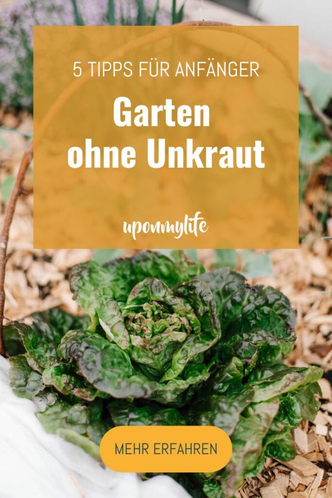 5 Tipps gegen Unkraut im eigenen Garten. Anleitung wie ich meinen Gemüse- Garten ohne Unkraut angelegt habe und wie das bei euch klappt