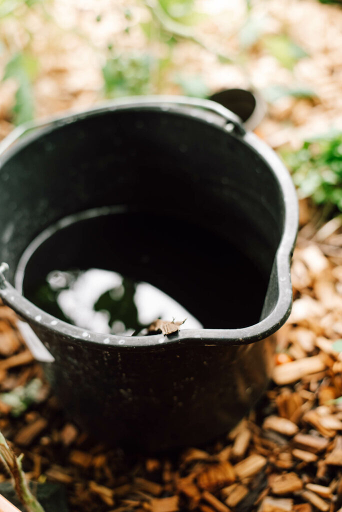 Wasser sparen im Garten: 8 Tipps, wie ihr Trockenheit in euren Beeten, Gemüsebeeten, Töpfen und Kübeln einfach verhindern könnt