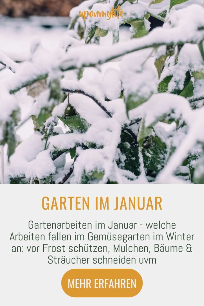 Gartenarbeiten im Januar - welche Arbeiten fallen im Gemüsegarten im Winter an: vor Frost schützen, Mulchen, Bäume & Sträucher schneiden uvm