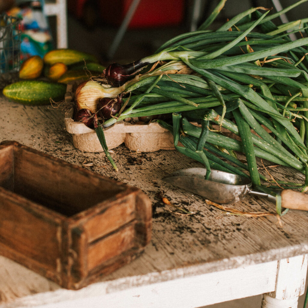 Kreative Gartenideen für Kinder: DIYs, Naturspiele und Projekte, die Spaß machen und die Naturverbundenheit stärken. Für Kindergartenkinder.