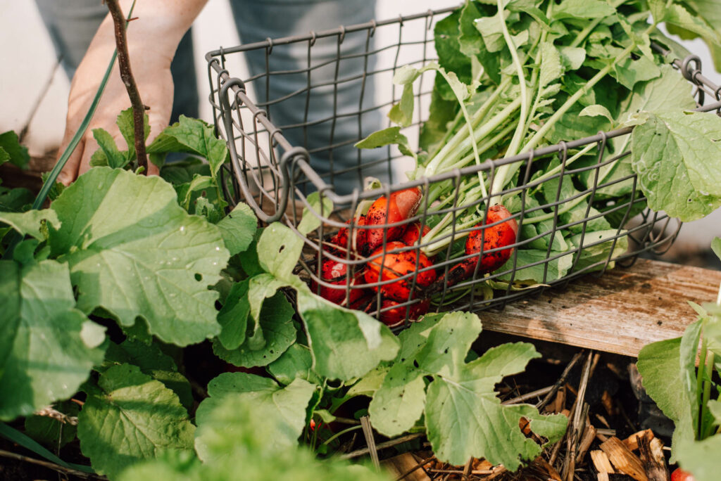 Kreative Gartenideen für Kinder: DIYs, Naturspiele und Projekte, die Spaß machen und die Naturverbundenheit stärken. Für Kindergartenkinder.