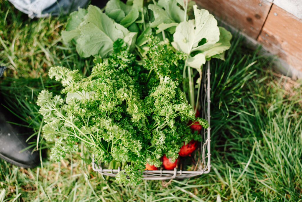 Kreative Gartenideen für Kinder: DIYs, Naturspiele und Projekte, die Spaß machen und die Naturverbundenheit stärken. Für Kindergartenkinder.