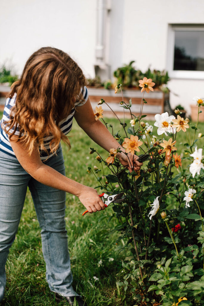 Bienenfreundlicher Garten am Haus: Praktische Tipps für Familien - Pflanzideen, Gemüsebeet, Obst & Spielbereiche, pflegeleicht und naturnah.