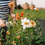 Bienenfreundlicher Garten am Haus: Praktische Tipps für junge Hausbesitzerinnen — Pflanzideen, Gemüsebeet, Obst & Spielbereiche, pflegeleicht und naturnah.