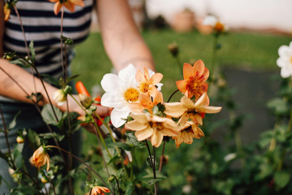 Bienenfreundlicher Garten am Haus: Praktische Tipps für Familien - Pflanzideen, Gemüsebeet, Obst & Spielbereiche, pflegeleicht und naturnah.