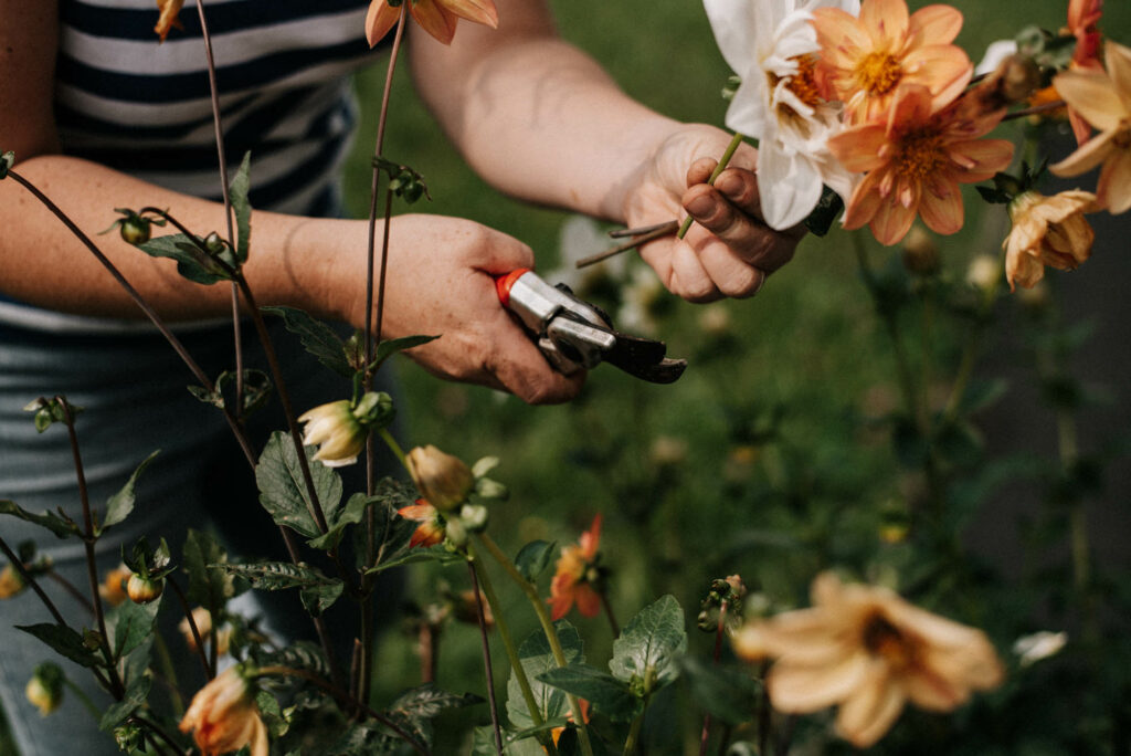 Bienenfreundlicher Garten am Haus: Praktische Tipps für Familien - Pflanzideen, Gemüsebeet, Obst & Spielbereiche, pflegeleicht und naturnah.