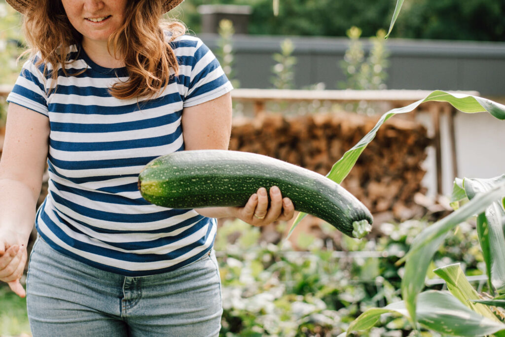 Zucchini-Schwemme? Hier findest du 20 einfache Zucchini-Rezepte – von Puffer und Lasagne bis Chutney, Brot & Kuchen. Mit Mengenangaben, Zeiten und Schritt-für-Schritt-Anleitung.