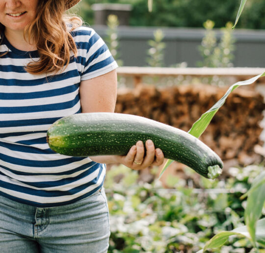Zucchini-Schwemme? Hier findest du 20 einfache Zucchini-Rezepte – von Puffer und Lasagne bis Chutney, Brot & Kuchen. Mit Mengenangaben, Zeiten und Schritt-für-Schritt-Anleitung.