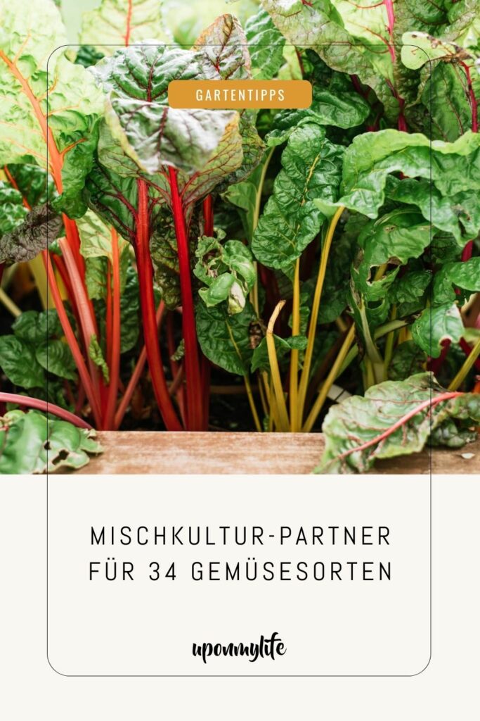 Günstige und ungünstige Mischkultur-Partner für 34 gängige Gemüsesorten - für euren Permakulturgarten und ertragreiche Gemüse & Obst Ernte