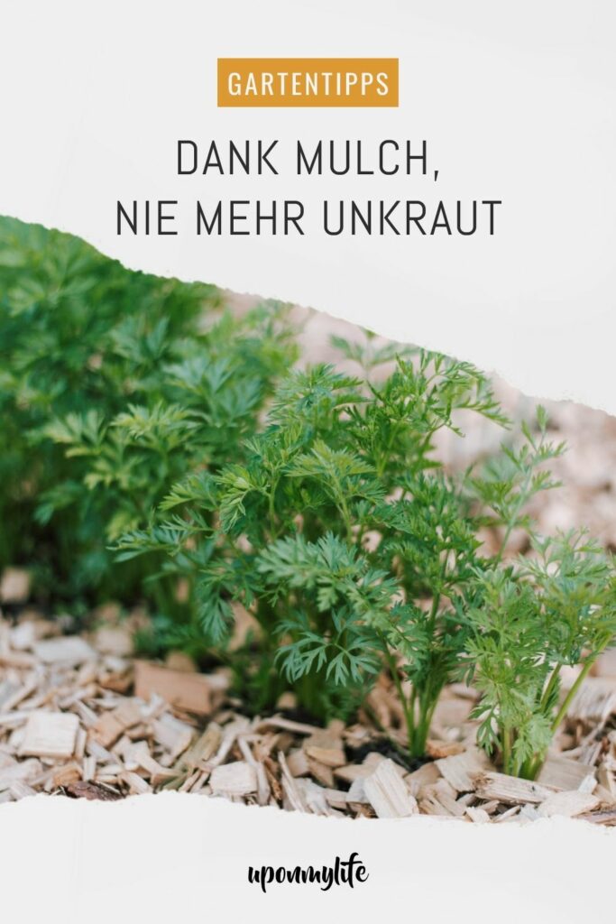 Mulchen im Gemüsegarten: Garten ohne Unkraut & Gießen? Mit Mulch geht das: Ich zeige euch Vorteile, Nachteile, Tipps & Mulch-Materialien