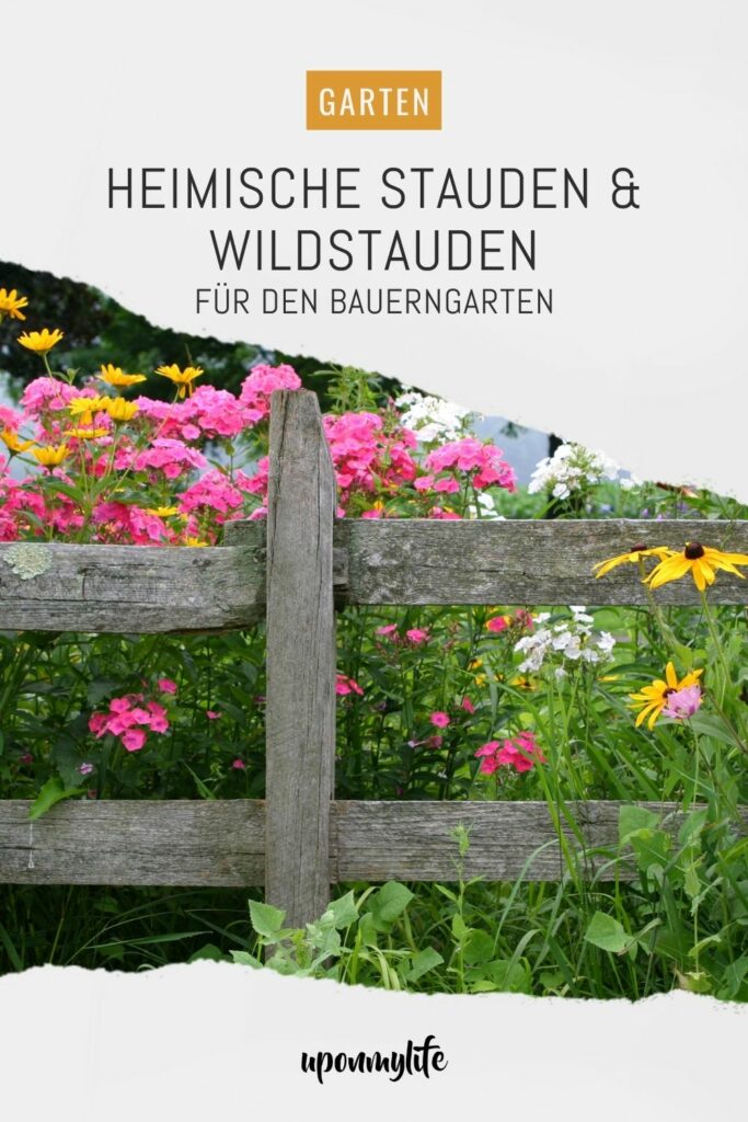 Heimische Stauden und Wildstauden für euren Blumengarten und wunderschön üppigen Bauerngarten - sortiert nach sonniger & schattiger Standort