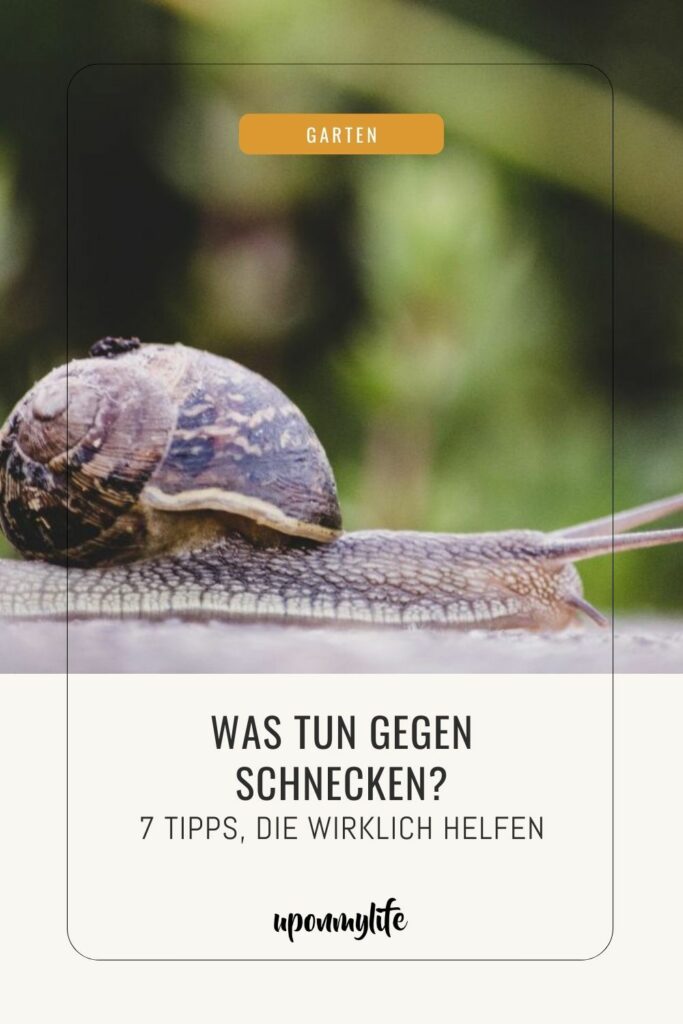 Was tun gegen Schnecken? 7 Tipps, die wirklich gegen Schneckenplagen im Garten helfen + Erfahrungstipps aus meinem eigenen Garten