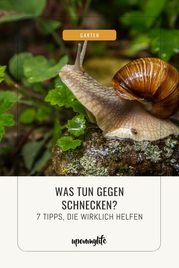 Was tun gegen Schnecken? 7 Tipps, die wirklich gegen Schneckenplagen im Garten helfen + Erfahrungstipps aus meinem eigenen Garten