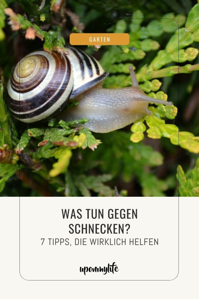 Was tun gegen Schnecken? 7 Tipps, die wirklich gegen Schneckenplagen im Garten helfen + Erfahrungstipps aus meinem eigenen Garten