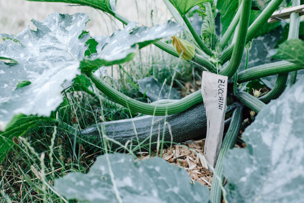 Kreative Gartenideen für Kinder: DIYs, Naturspiele und Projekte, die Spaß machen und die Naturverbundenheit stärken. Für Kindergartenkinder.
