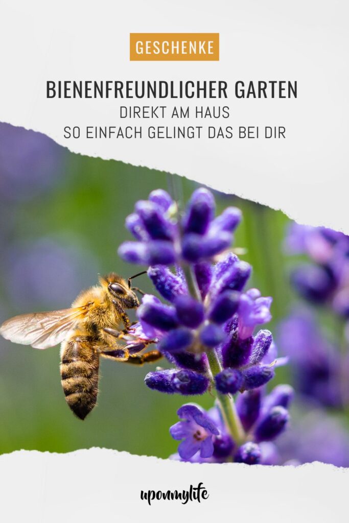 Bienenfreundlicher Garten am Haus: Praktische Tipps für Familien - Pflanzideen, Gemüsebeet, Obst & Spielbereiche, pflegeleicht und naturnah.