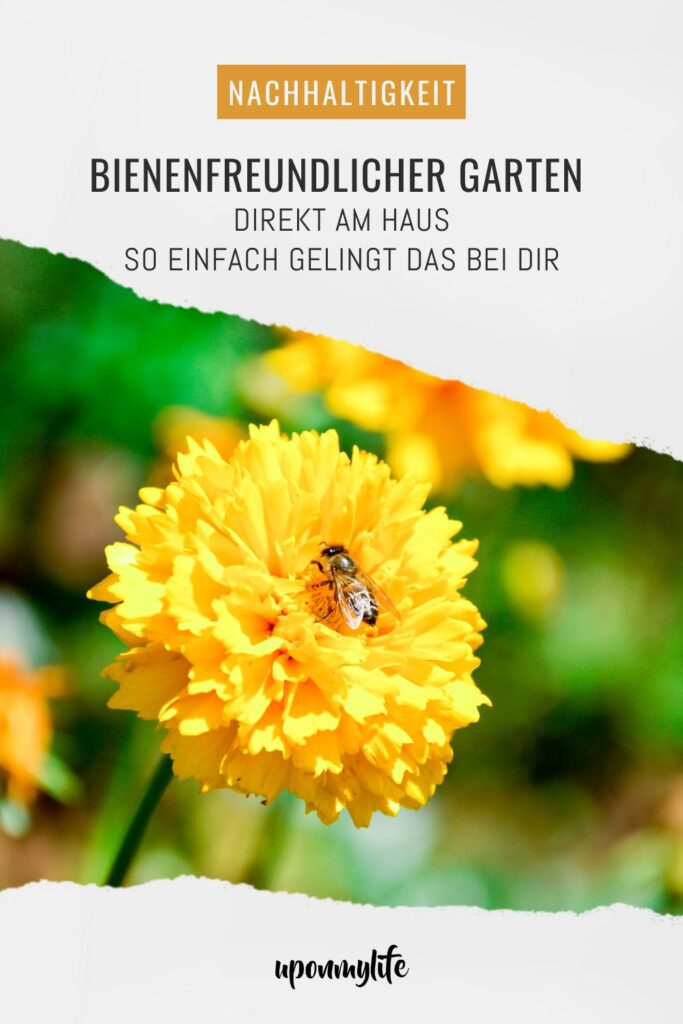 Bienenfreundlicher Garten am Haus: Praktische Tipps für Familien - Pflanzideen, Gemüsebeet, Obst & Spielbereiche, pflegeleicht und naturnah.