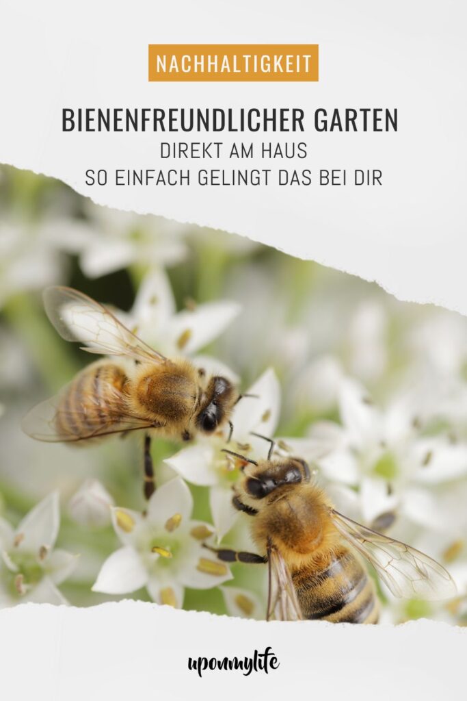 Bienenfreundlicher Garten am Haus: Praktische Tipps für Familien - Pflanzideen, Gemüsebeet, Obst & Spielbereiche, pflegeleicht und naturnah.