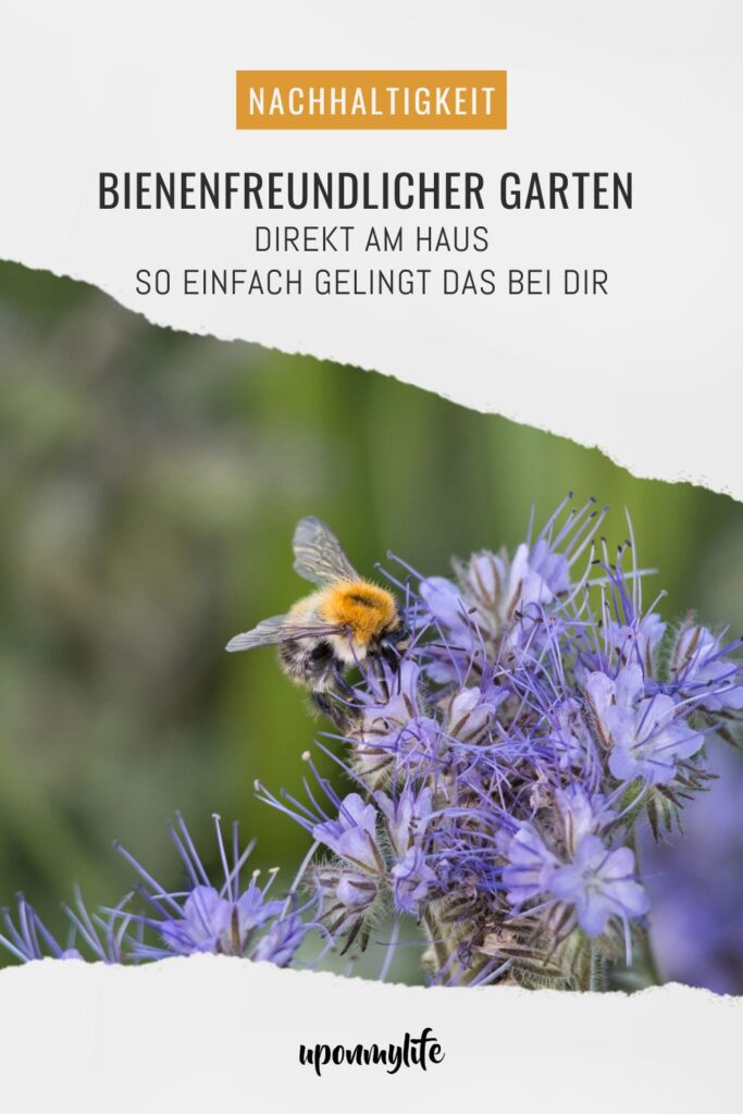 Bienenfreundlicher Garten am Haus: Praktische Tipps für Familien - Pflanzideen, Gemüsebeet, Obst & Spielbereiche, pflegeleicht und naturnah.